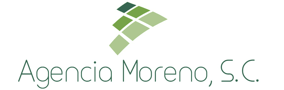Agencia Moreno SC